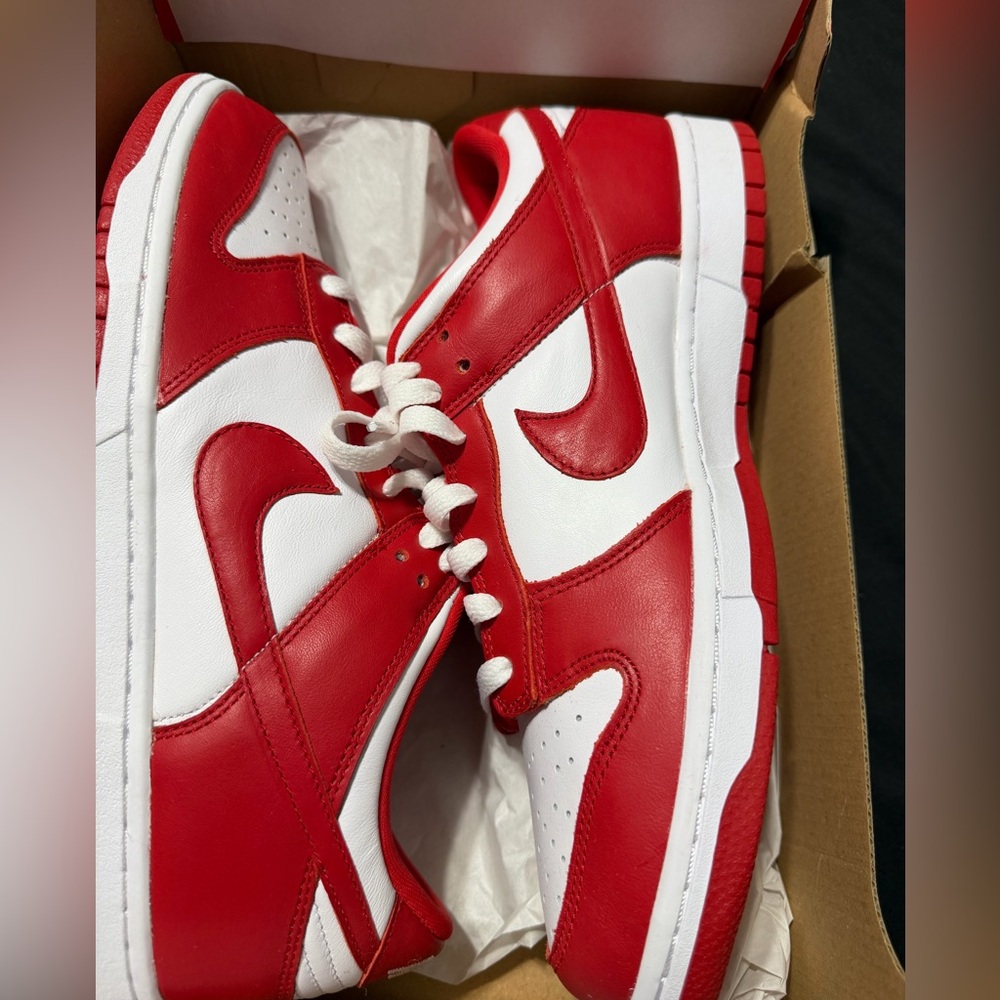 Brand new men dunks